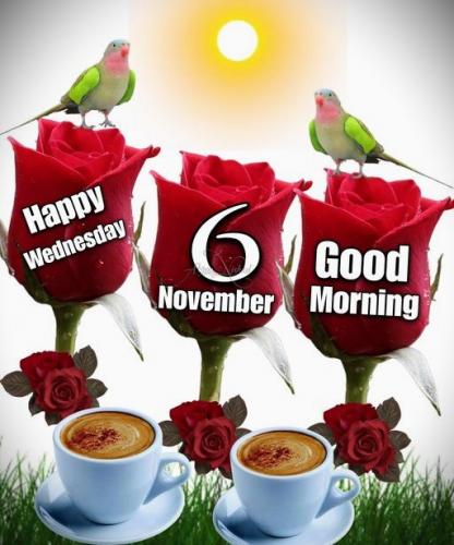 110624 - Birds, red roses, coffee