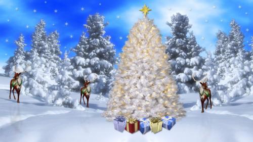 christmas-scenery-wallpaper-hd-26160_1572791197-442304532
