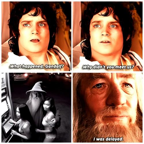 Gandalf ~Delayed or Waylaid~