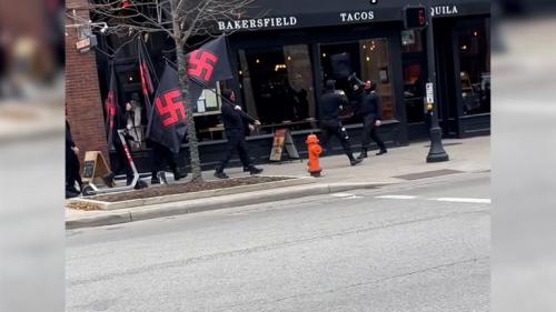 NEO NAZIS COL