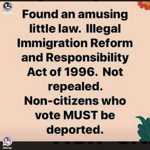 FB_IMG_1731079761812