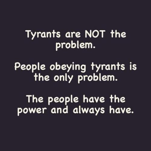 FB_IMG_1731425874070