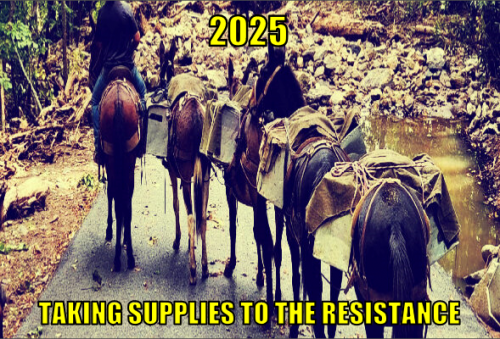 2025 tsttr