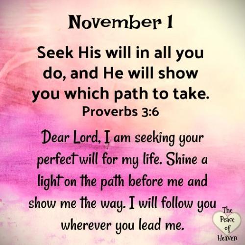 110124 - Seek His will Prov 3-6
