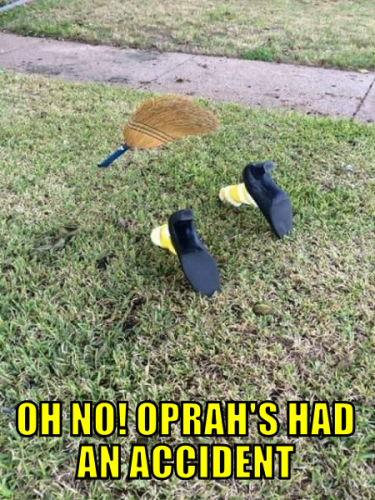 onohaa