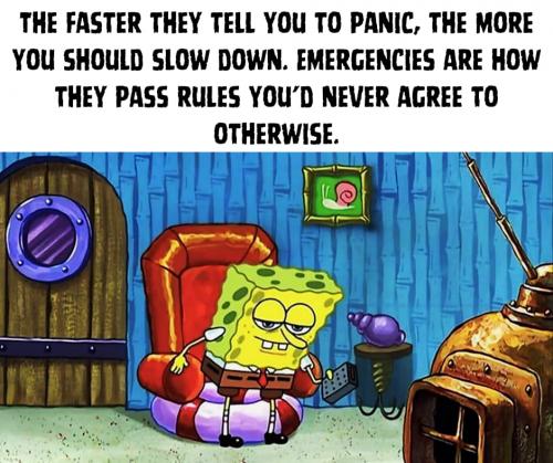 465670920_8731678310212357_8135096618579830480_n