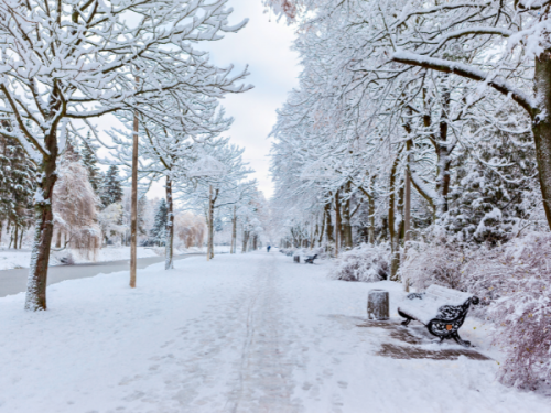 snow_0