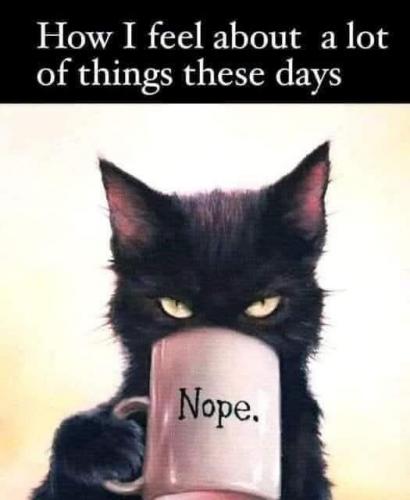 How I feel about