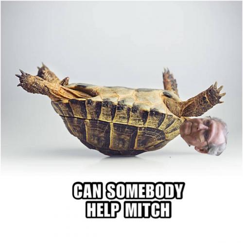 469893351_1727802511332633_8140785129854309727_n