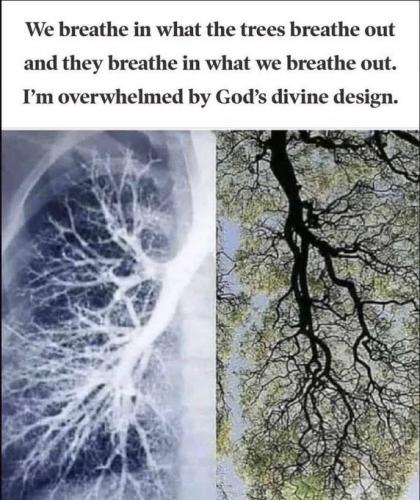 5E4F8A40-5B22-47E7-94E2-6BA55A17BE12