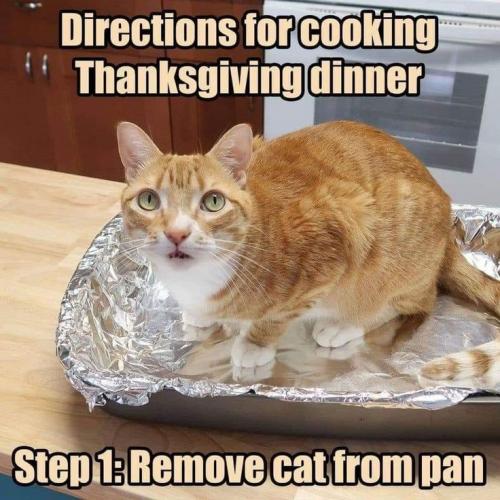 removecat