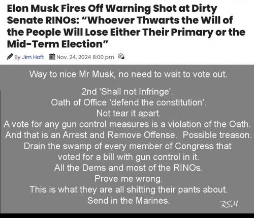 Musk senate warning