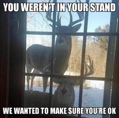 stand