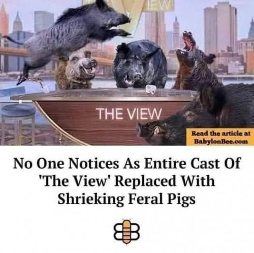 1000013832