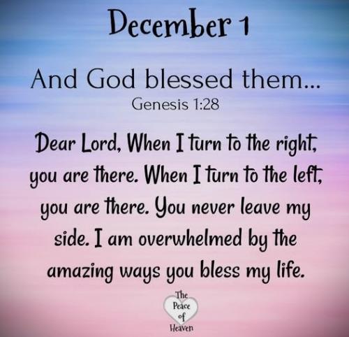 1200124 - God blessed them; Gen 1-28
