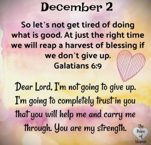 120224 - Not tire of doing good; Gal 6-9
