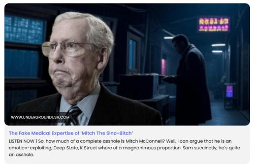Mitch the Sinobitch screenshot.940px