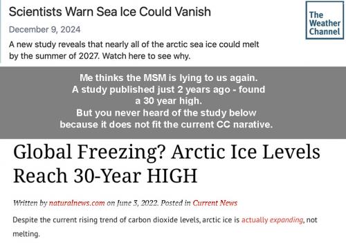 sea ice lies