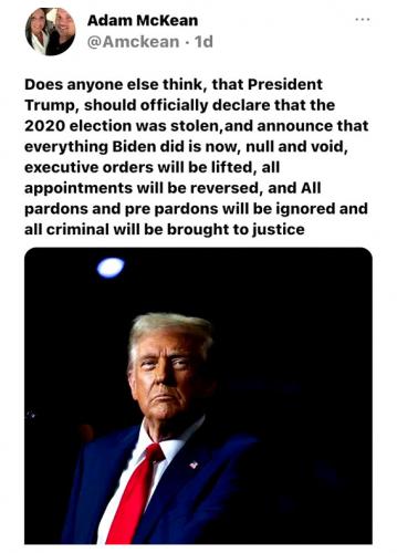Trump ~Declare 2020 Election Stolen~