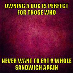 oadipftwnwteawsa