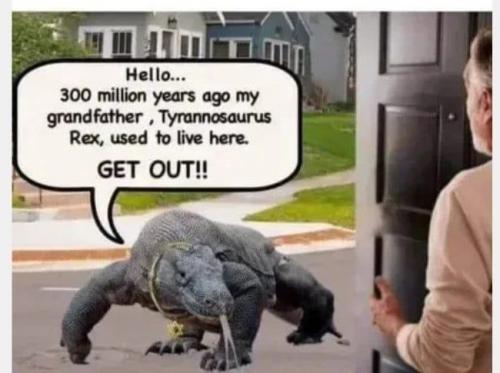 aaa