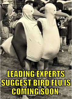 esbfics