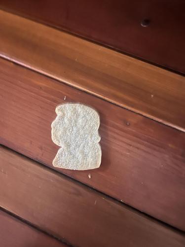 C6B87408-2229-4FDC-B1E7-132B47B73F5D