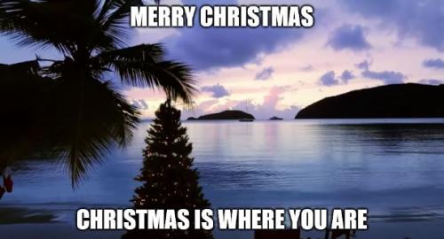 boatchristmastree