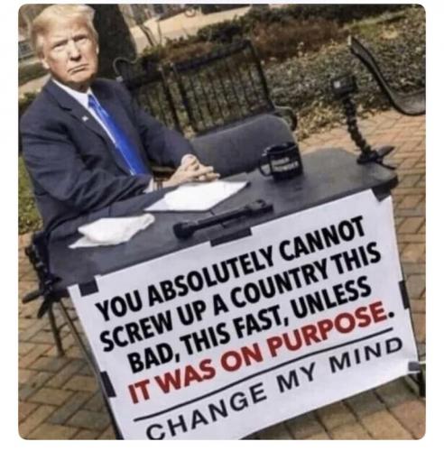 10b73f77dded8d9ca4a361ba09c359a6_768x0