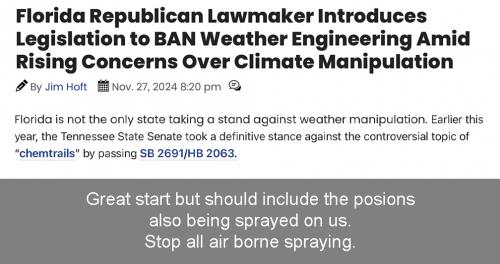 FL:TN weather mod