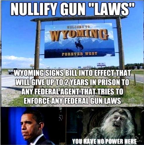 Wyoming Nullifies Federal Gun Laws