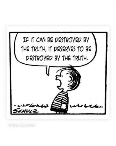 FB_IMG_1733353568135