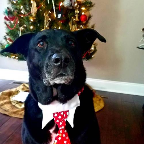 IMG_20191225_151921_905