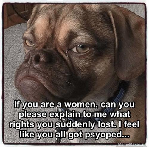 469041973_1094516016017912_358681875558587864_n