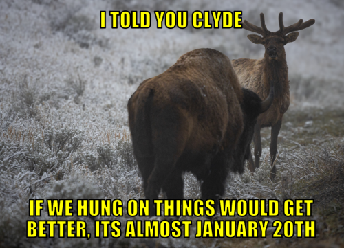 ityciwhotwgbiaj20