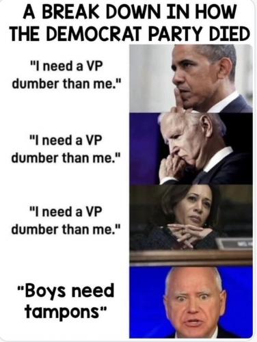 vp