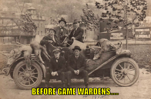bgw