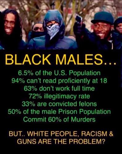 negroes