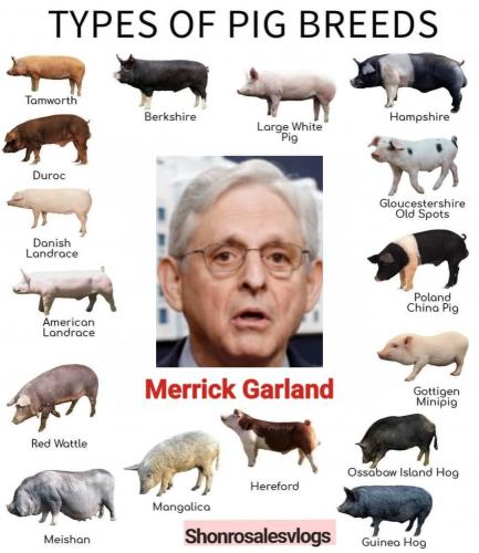 469032009_588302616918872_6030100769669038362_n