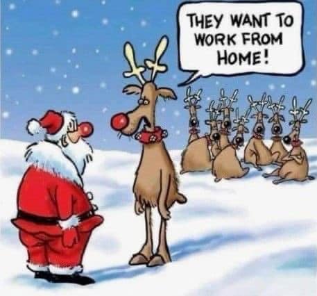 dd24095d2a4f1b5e141a61d9a6c0127c_768x0