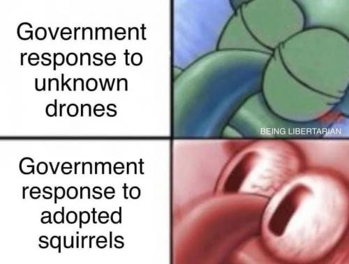 1000057529