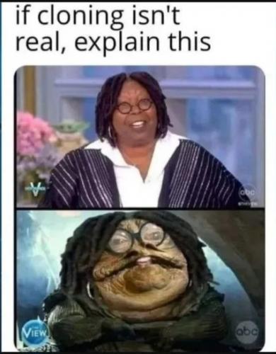 1000055827