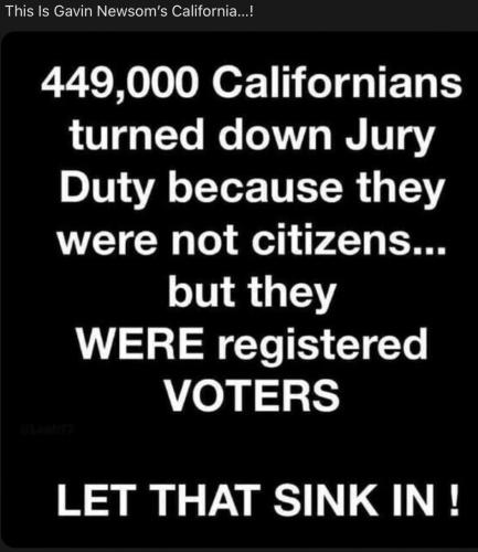 449K non citz voters