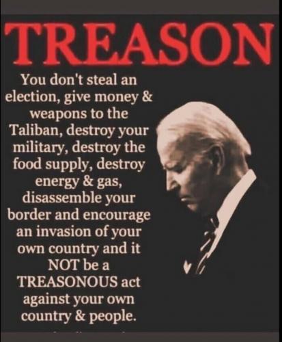 BIDEN TREASON