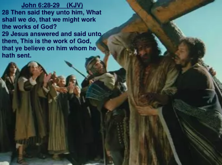 John 6.28