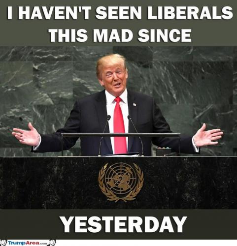 1000052523