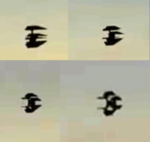 1000022190