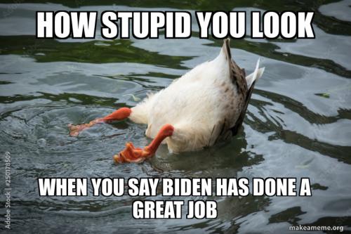 how-stupid-you-a55b8fbed7