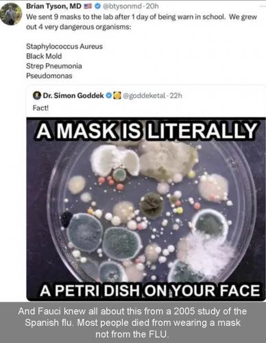 never mask again