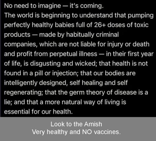 NO VAX 2024